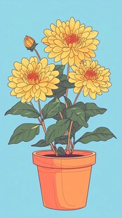 橙色盆栽里的灿烂黄菊