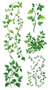 手绘清新藤蔓植物素材