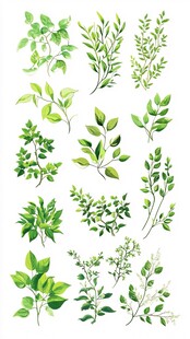 手绘清新绿叶植物素材