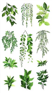 清新手绘风绿色植物集合