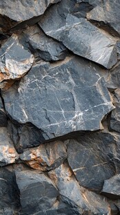 纹理独特的灰黑色岩石