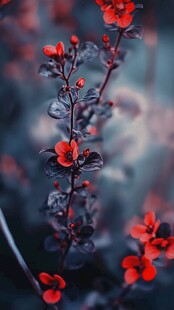 娇艳红花朵朵俏立枝头