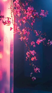 梦幻粉花垂挂于光影间