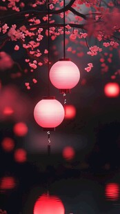 红灯笼映粉樱夜色柔美