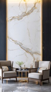 奢华大理石背景客厅一角