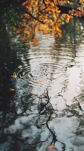 秋日湖面涟漪与落叶景致