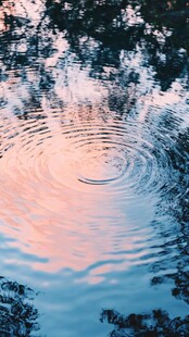 湖面涟漪映树影与霞光