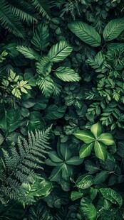 繁茂绿植构成的自然景致