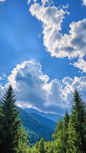 蓝天白云下的山林美景