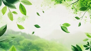 清新绿叶背景自然风景图