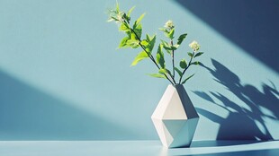 几何花瓶中的清新绿植