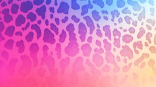 渐变豹纹背景图