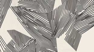 黑白线条几何叶片图案