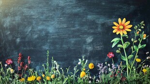 黑板前的缤纷花卉世界