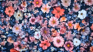 缤纷花卉图案的梦幻布料
