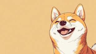 微笑的柴犬 萌态十足