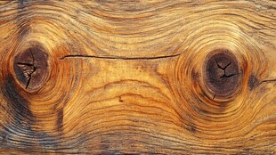 木纹特写 自然质朴的纹理美