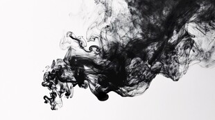 墨韵飞扬 水墨灵动之美