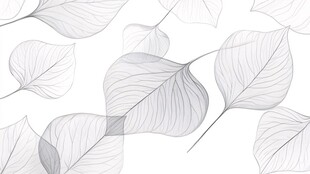 简约线条风叶片图案背景