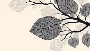 简约黑白树叶树枝图案