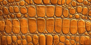 仿鳄鱼皮纹理皮革特写