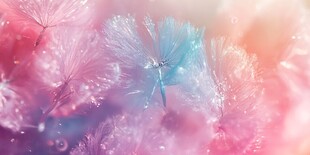 梦幻粉色系蒲公英微观世界