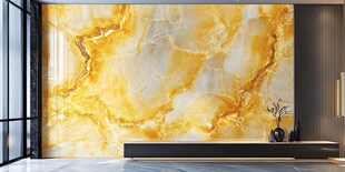 奢华大理石背景墙室内景