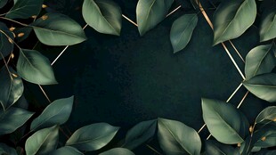绿叶环绕的深绿背景画面
