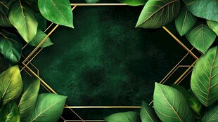绿叶金框背景图