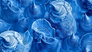 蓝色梦幻贝壳纹理图案