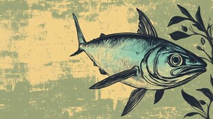 复古风海鱼插画