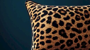 豹纹抱枕特写