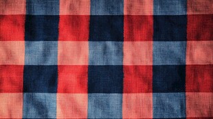 红蓝格子布料纹理特写