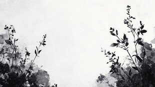 水墨植物剪影 意境悠远