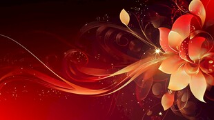 艳丽花朵梦幻红背景图案