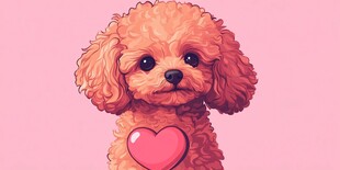 可爱泰迪犬怀捧爱心