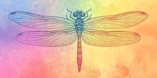 梦幻蜻蜓绘于多彩背景中