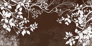 黑白树枝树叶装饰背景图