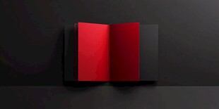 红色翻开画册展示效果图