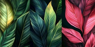 多彩叶片艺术插画