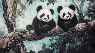 两只熊猫惬意栖于树枝