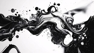 墨韵飞舞 黑白艺术之美