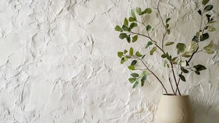 简约白墙旁的绿植花瓶