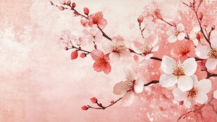 粉樱烂漫 尽显春日柔情