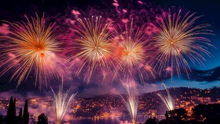 夜空中绚烂的烟花绽放