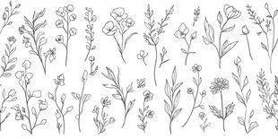手绘花卉植物线条图案