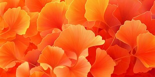 绚烂银杏叶 秋日绚丽图景