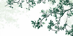 绿叶枝丫 清新自然背景