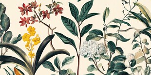 复古风植物花卉插画图案