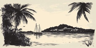 热带海滨帆船风景插画